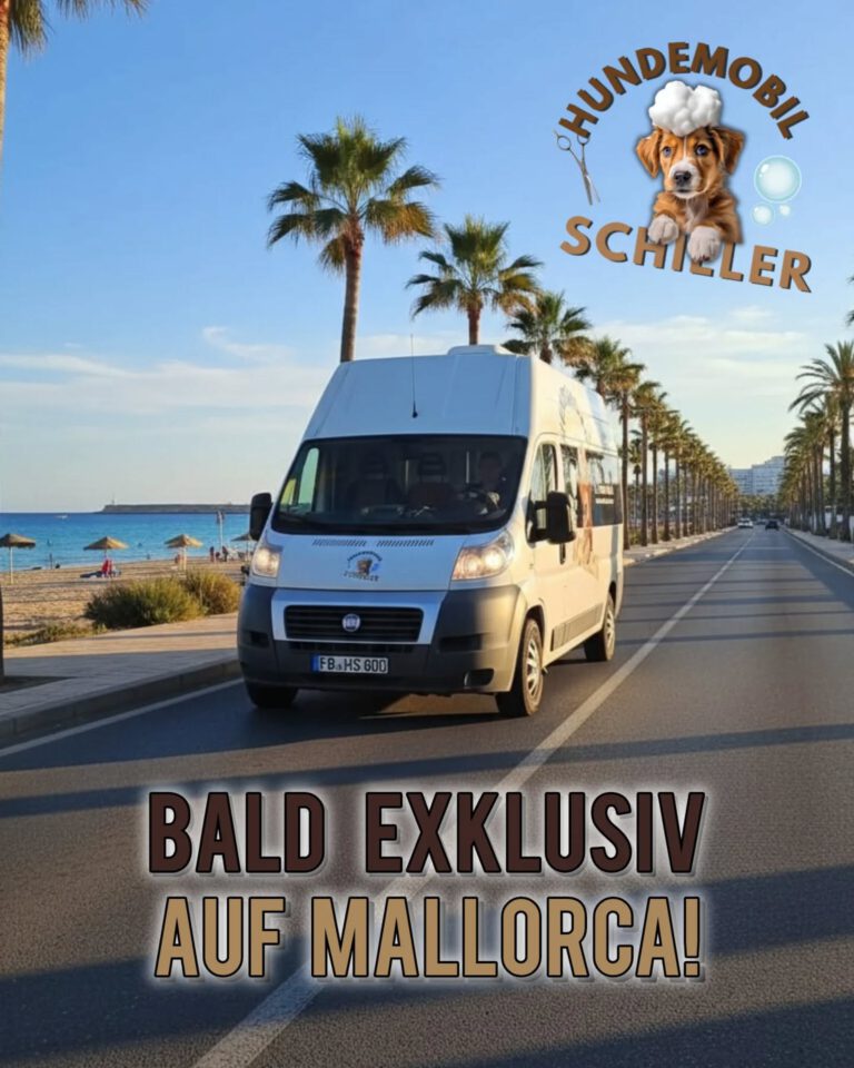 Instagram post from hundemobil_schiller. This post is in position 1.